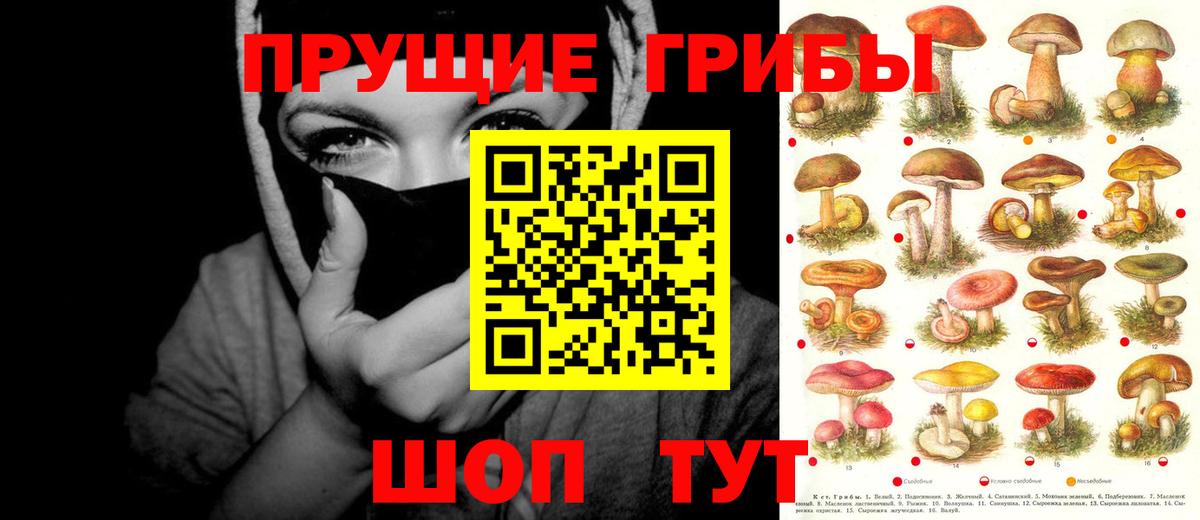 купить  сайты  Вход с VPN  Псилоцибиновые грибы мицелий  Сургут  Псилоцибиновые грибы ЛСД 