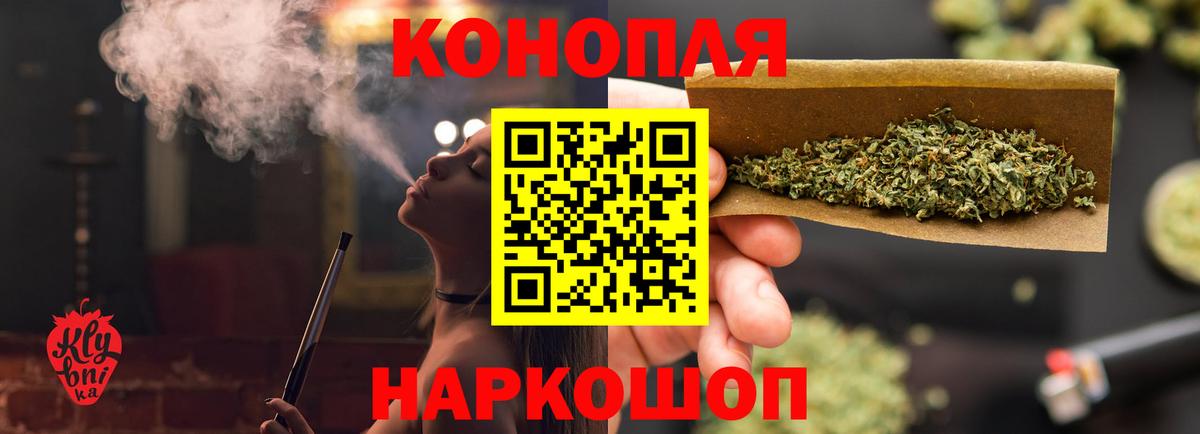 Канабис план Сургут